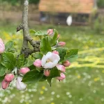 Skovbrynets *